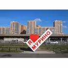 nashemurino Telegram Logo