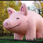 Telegram @vdnhchat1Group Image