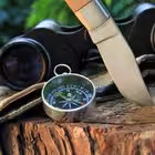 bear_survival Telegram Logo