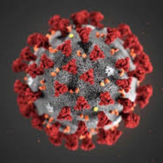 Telegram @coronavirus_news_rusGroup Image