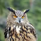 a78list Telegram Logo