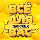 vdv_pleseck Telegram Logo