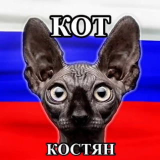 Telegram @kotrealChannel Image