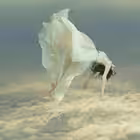 narges_sarrafian_toofan Telegram Logo