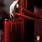 matveev366oi Telegram Logo