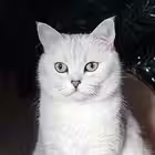 Telegram @oblomoffspbChannel Image