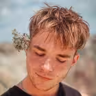 boldurev Telegram Logo