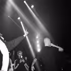 softestbed Telegram Logo