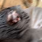 karavanahuitelnyhistoriy Telegram Logo