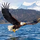 Telegram @Golosnaroda_offisialChannel Image