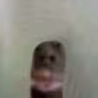 achexd2 Telegram Logo