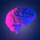 Telegram @HEAD_TONChannel Image