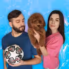 naparusevoneonom Telegram Logo