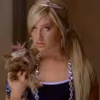 loonixieee Telegram Logo