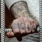 chefirru Telegram Logo