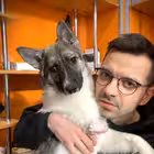 sobfun Telegram Logo