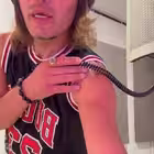 Telegram @solncevrustamChannel Image