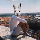 maxbelovlive Telegram Logo