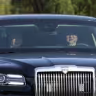 dimitribamberg Telegram Logo