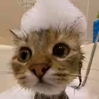 destroyer_a Telegram Logo