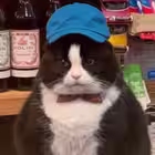 MityaKeks Telegram Logo