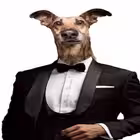 sunrise2k Telegram Logo