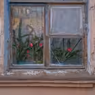 domkzn Telegram Logo