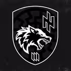 ShturmovaRota3 Telegram Logo