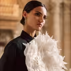 loliglife Telegram Logo