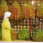 super_dubai Telegram Logo