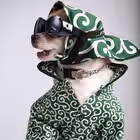 hochuibudda Telegram Logo