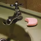 photopupa Telegram Logo