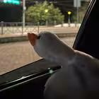 Iesynk Telegram Logo