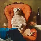 Telegram @MTNM0Channel Image