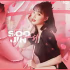 soojinsolo Telegram Logo