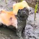 Telegram @liza_kei_diaryChannel Image