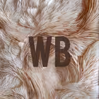 sallewild Telegram Logo