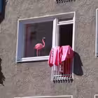 ovsyankintour Telegram Logo