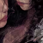 Telegram @hhhhllwrChannel Image