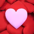 LPMANON Telegram Logo