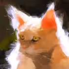 dyankaammm Telegram Logo