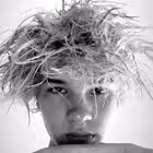 shinzoasked Telegram Logo