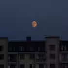 notjustadiary Telegram Logo