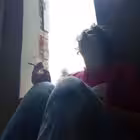 elizabetfaar Telegram Logo