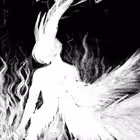 zxcpulsed Telegram Logo