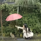 miokkou Telegram Logo