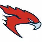 Telegram @soar1ng_falconChannel Image