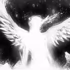 xjem1337 Telegram Logo