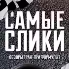SamyeSliki Telegram Logo