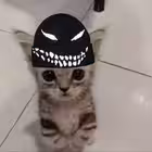 INSYXRT Telegram Logo